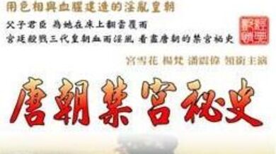 香港三级片唐朝禁宫秘史.